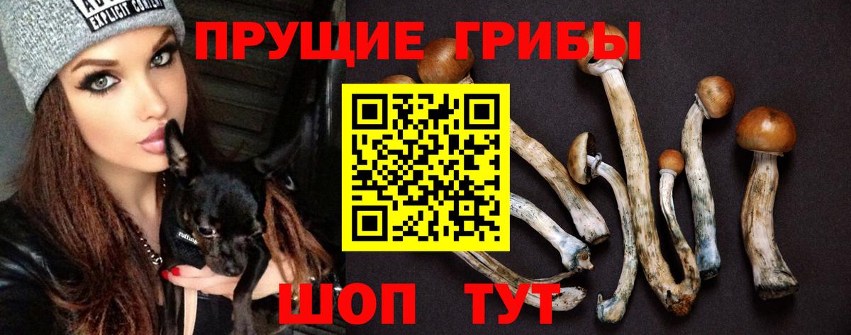 Галлюциногенные грибы мицелий Кубинка