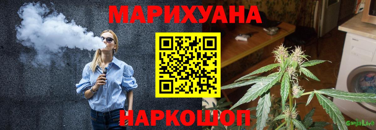 Шишки марихуана план  Конопля THC 21%  Кубинка  Бошки Шишки Amnesia  Канабис VHQ  Вход с VPN 